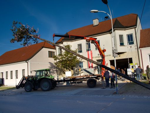 Maibaumaufstellen