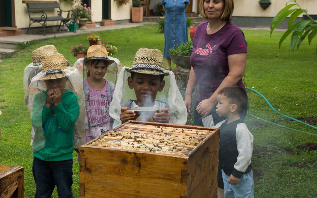 Kindergarten Breitensee – Ausflug zu den Bienen