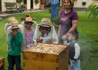 Kindergarten Breitensee – Ausflug zu den Bienen